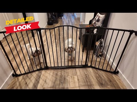 How to keep your dogs or babies from getting out, safety gate
