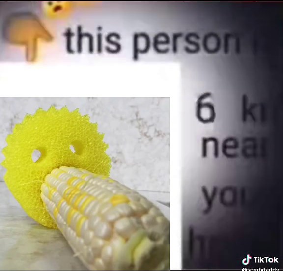 Scrub Daddy on TikTok