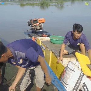 117K views · 1.8K reactions | Đời sống Nét Quê trên đồng nước nổi 2025 | Nét Quê Channel | Facebook