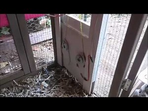 Raspberry Pi Controlled Chicken Coop Door