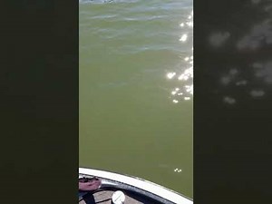 Humminbird interference fix - sometimes.