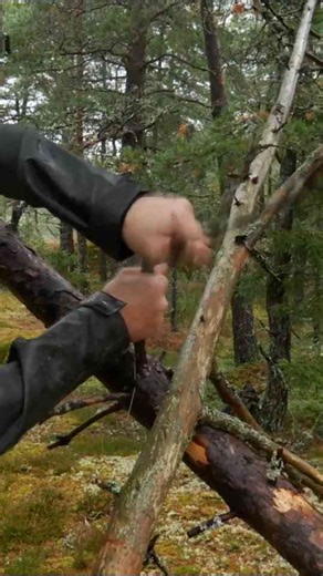 Can a bushcraft tarp shelter survive a downpour test