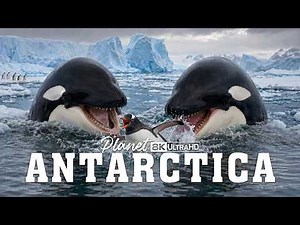 WILD ANTARCTICA | Mighty Monsters of the Eternal Ice | WILDLIFE DOCUMENTARY