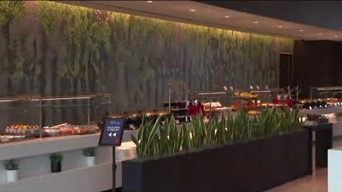 Delta Air Lines unveils new sky club
