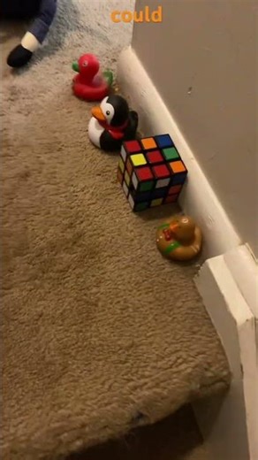 Nintendo TV Commercials (2024)