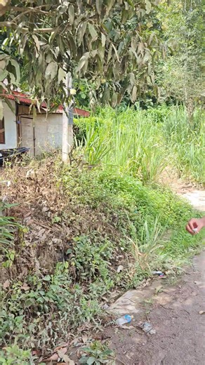 ກຳລັງເດີນໄປນຳທາຕີນລົດຫົວສິຮອດຢູ່ບໍ😂 | EZRA FOOTBALL CLUB