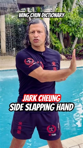 Wing Chun Dictionary | Jark Cheung (Side Palm / Side Slap)