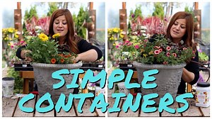 577K views · 10K reactions | Flower Alley Experiment: Simple...