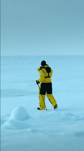 You don’t expect much at the North Pole—ice, wind, solitude… and maybe a familiar face 🎅