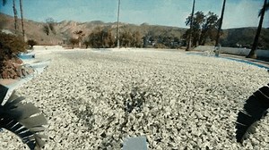 4.9K views · 826 reactions | Cuando ves tu Chivo Wallet con mucho más dinero.  | Chivo Wallet | Facebook