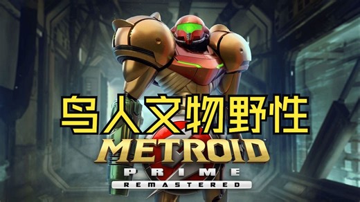 NS2密特罗德究极复刻版：鸟人文物野性