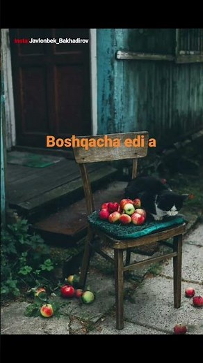 Hamma narsa o‘zgardi