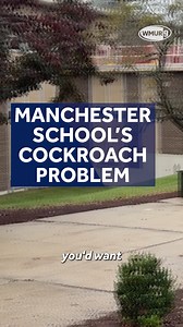 "That is gross!" Manchester health officials are working to get rid of cockroaches that have been seen at Hillside Middle School: https://www.wmur.com/article/manchester-hillside-middle-school-cockroach-92525/68065664 | #cockroaches #manchesternh #nh #newhampshire #bugs | WMUR-TV
