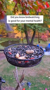23K views · 566 reactions | You're welcome #birds #birdnerd #backyardbirds #nature #relaxing #asmr | The Chirp Corner | Facebook