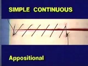Techniques of Suture Pattern Placement. | Veterinarians