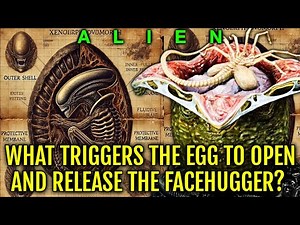 Ovomorph (Xenomorph Eggs) Anatomy Explored - Can Facehuggers See Through The Egg? Are Eggs Sentient?