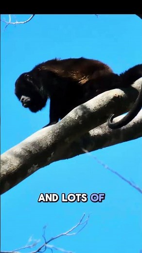 Palo Verde National Park in Costa Rica: