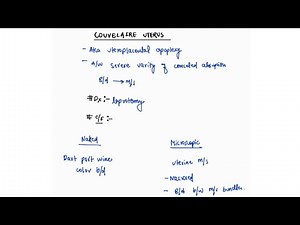 COUVELAIRE UTERUS NOTES | OBSTETRICS | ONE PAGE NOTES | 4TH PROFF |MBBS