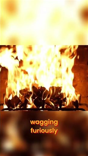 My Dog vs. Hell Hound: A Terrifying Encounter! #shorts