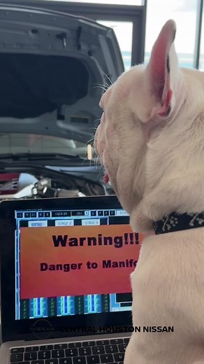 Car Troubleshooting Tips from a Nissan Expert