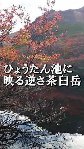 那須岳の紅葉は最盛期 姥ヶ平の紅葉とひょうたん池に映る逆さ茶臼岳 #絶景 #登山 #紅葉の名所 #紅葉