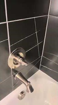 Up Close Look at Delta Woodhurst Single Handle Faucet