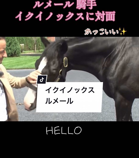 夏の北海道で引退式ぶりにイクイノックスに対面するルメール 騎手#イクイノックス#ルメール #ルメール 騎手