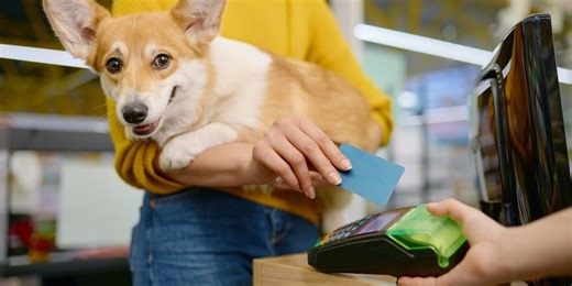 27 Stores You Didn't Realize Are Dog-Friendly — Best Life
