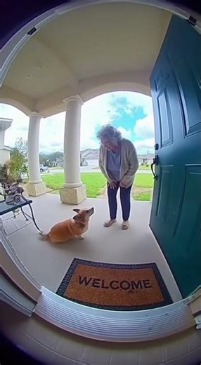 Dog EXPLODES In Front Of Grandma #funny #explode #animal #dog