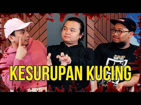 Paranormal Experience: Tragedi Kesurupan Kucing