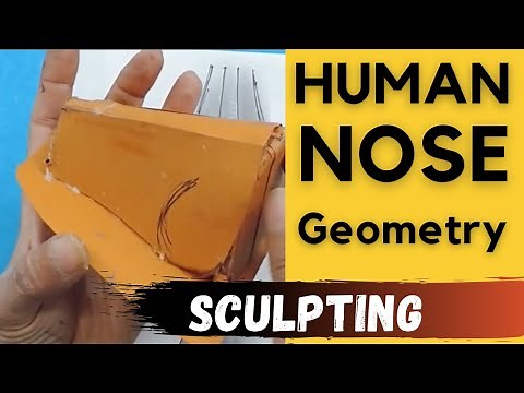 How to make basic shape of a Human Nose in 3D using Paper | Human Nose Cardboard/Construction Paper