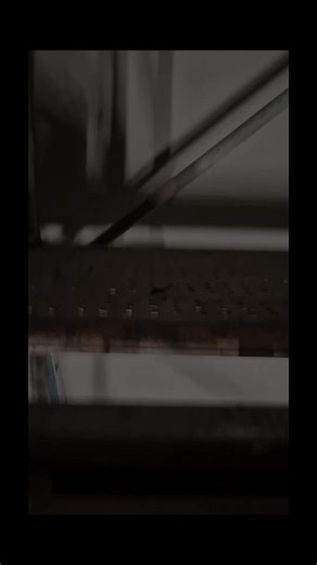 Marchiș C. C. (@marchisclaudiuciprian)’s videos with Freigang - Azet