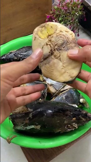 Cara membuat abon ikan #rdfk