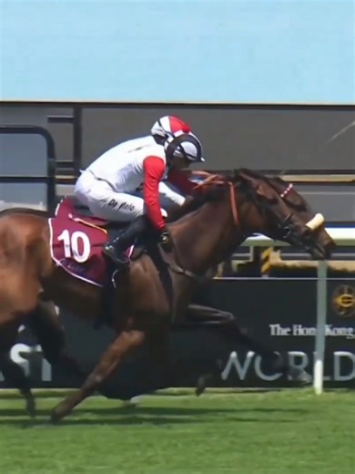 GIMME WHAT I WANT Triumphs in Cartier Sceptre Stakes