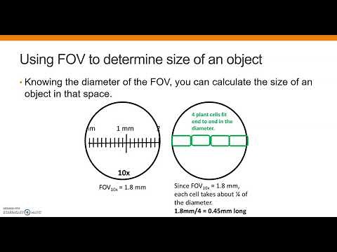 Prelab 2.3 - Microscope - FOV diameter and size of speciman