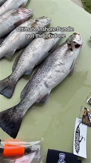 Head to topwatercompany.com to get the ultimate inshore bundle! #saltwaterfishing #trout #speckled