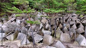 A large pile of manmade triangle rocks and trees. The trees are small and scattered throughout the pile. Scene is one of solitude and isolationwith Triangular Prism objects