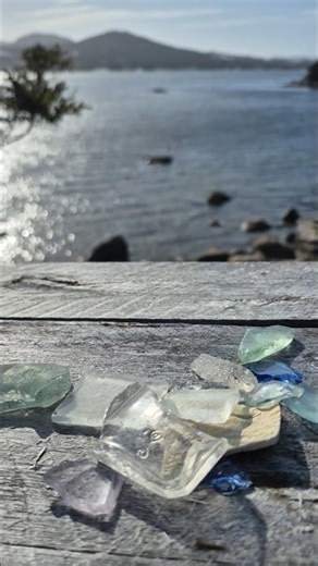 shore Shots #adventure #shorts #ocean #sea #beach