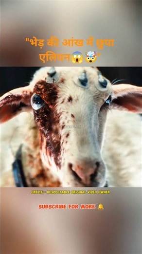 Alien Hides Inside Sheep’s Eye! 😱🤯 | Shocking Sci-Fi Experiment | Hindi explanation #shorts