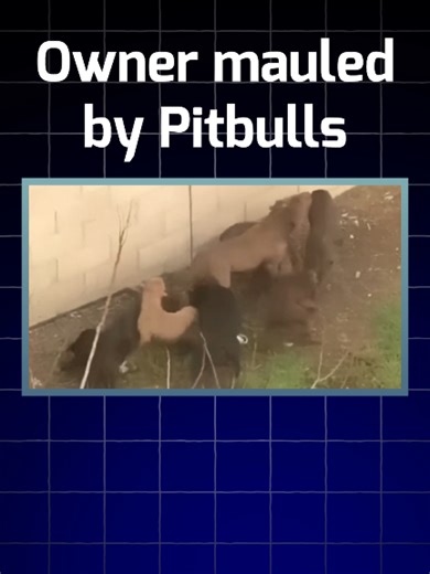 Owner mauled by Pitbull dogs. Watch the shocking story of a 35-year-old pit bull breeder Dominic Cooper in Compton who was mauled to death by his 13 dogs—including adults and puppies—in his own backyard. He was just feeding them when chaos erupted... What went wrong? 🐕💔Details inside: The gruesome discovery, animal control response, and lessons on dog safety. True crime fans, you won't believe this! 👀 #analoghorror #horrortok #dogattack