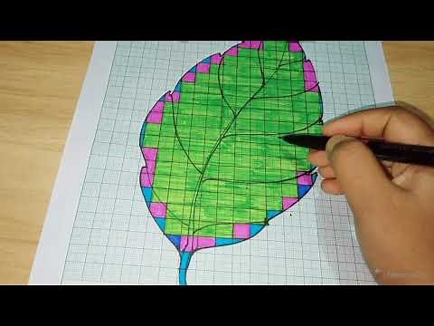 Area of irregular shapes
