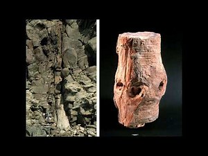 Australasian Botanic Guides Conference - Gondwana & Fossil Plants