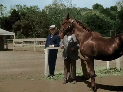 Three Stooges 026 Playing The Ponies (Colour)