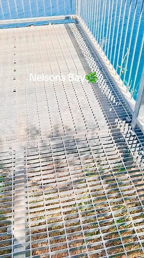 #NelsonsBay#Newcastle#NSW#@Australia 🇦🇺