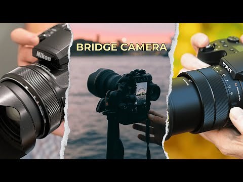 7 Best Bridge Cameras: 2026 Reviews [ Birding, Wildlife, Nature ]