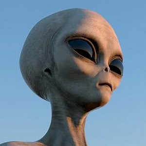 Local Stranger Concert & Tour History  | Concert Archives