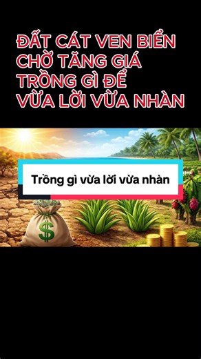 Đất cát ven biển chờ tăng giá, trồng cây gì vừa lời vừa nhà? #dautudat #datcatvenbien #caytrongchiuhan #biochar #caitaodatcat
