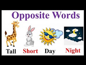 Learn Opposites Educational Video | 25 Opposite Words for Kids | Antonyms | English opposites