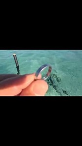 13K views · 93 reactions | 5 DÍAS DE BÚSQUEDA Y MILES DE PESOS ENCONTRADOS.⛓️滋⚓️. NO TE PIERDAS ÉSTE Y MUCHOS MÁS VIDEOS EN MI CANAL DE YT, FB, IG Y TK Tesoros Enterrados. #tesorosenterrados | Tesoros Enterrados | Facebook