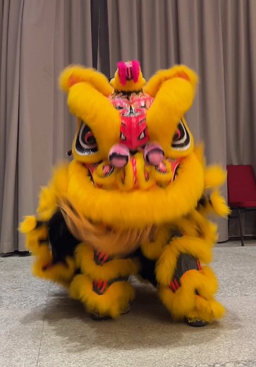 KJ at 2025年萧斐弘门下弟子交流会 & 国际弘德狮艺交流会 Master Siow Ho Phiew Cultural Extravaganza & International Hong Teck Lion Arts Seminar 📍Fairy Park Heritage City 仙境古城文化渡假村 #KidsLionDance #kjspace #fyp #littlek